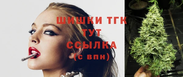 ГАЛЛЮЦИНОГЕННЫЕ ГРИБЫ Алзамай