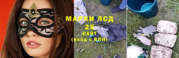 ГАЛЛЮЦИНОГЕННЫЕ ГРИБЫ Алзамай