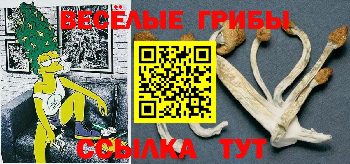 Псилоцибиновые грибы Magic Shrooms  Галлюциногенные грибы Magic Shrooms  Ижевск  Вход с VPN 
